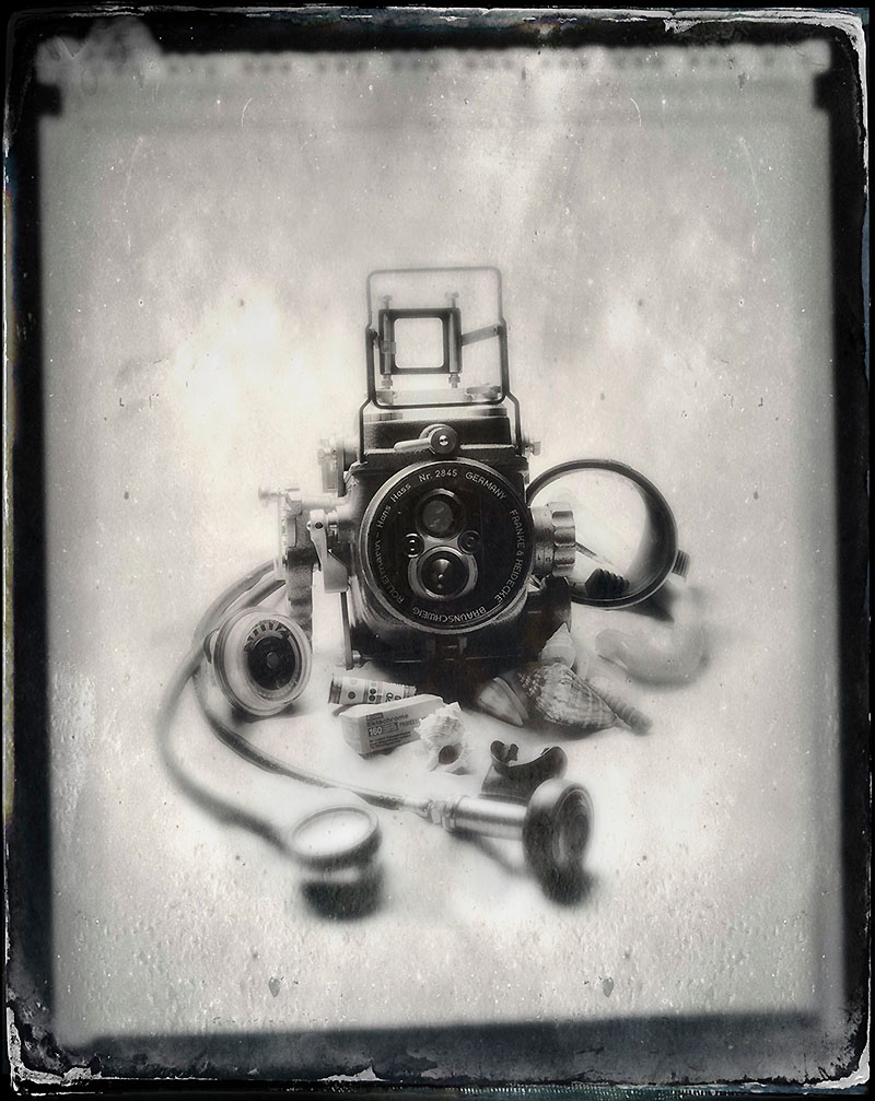 octoparazzo taking a photo of cuttlefish