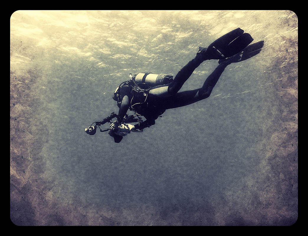 octoparazzo scuba diving at sunset